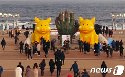 호미곶 해맞이 광장에 나타난 기해년 황금돼지
