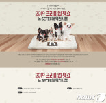 반려동물 위한 펫 박람회 2019 프리미엄 펫쇼 세텍에서 열려