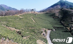 차 시배지 하동 화개면서 동아시아농업유산 국제콘퍼런스