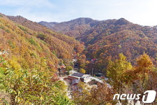 영동 민주지산휴양림 방문객 ‘북적’…지난해 최고 실적