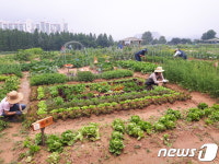 수원시, 시민농장 텃밭체험 참여자 모집