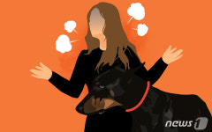 개 목줄 왜 안해 항의에 돌 던진 40대 여성 집행유예