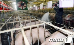 예산지역 16곳 깨끗한 축산농장 선정