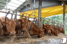 충북 깨끗한 축산농장 450개로 늘린다…올해 80곳 목표