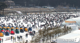평창송어축제 오대천은 뜨겁다