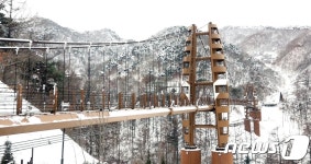 증평 좌구산휴양림, 중부권 대표 휴양시설로 우뚝