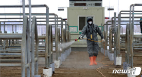 일시폐쇄된 우시장, 방역작업 분주