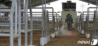 구제역 확산 우려, 전국 우시장 3주간 일시 폐쇄