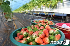 진주 농산물 지난해 4985만달러어치 수출…역대 최고 