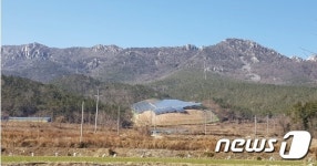 남도의 금강산 달마산에 우후죽순 들어서는 태양광