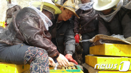 불암산 벌꿀 수확하세요…노원구, 도시양봉학교 수강생 모집