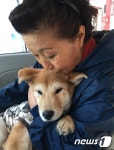 [펫피플]16년째 유기견 돌보는 개엄마…개들이 저를 살린 거예요