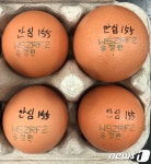 제주, 항생제 계란 유통 긴급회수…인체에는 무해