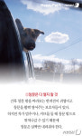 [펫카드] 반려견과 드라이브? 이것 주의해야