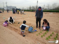 도시농부에 도전하세요…강서구 텃밭농장·상자텃밭 참가자 모집