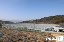 진안에 스마트팜 유리온실 준공…토마토 연간 640톤 생산