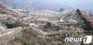 매화향 가득한 섬진강 매화마을