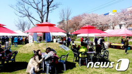 울산 태화강 프리마켓 9~10일 올해 첫 개장