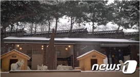 靑, 풍산개 도그 타운 공개…文대통령 제일 살찐 놈이 산이