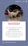 [펫카드] 반려동물 사랑한다면… 이런 일자리 어때요