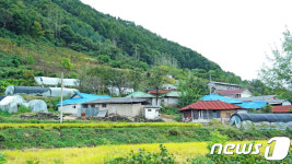 장수 광산마을, 전북도 공모 선정…살구나무 등 식재