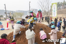세종 솔빛숲유치원, 자연과 함께 놀이중심 교육과정 운영