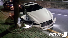 술 취한 30대, 외제 차 몰다 커브길 가로수 들이받아