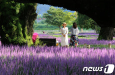 [단신]성주 성밖숲, 생태테마관광 육성사업 선정