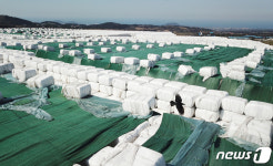 제주회천매립장에 쌓인 압축 폐기물