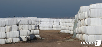 제주 매립장에 쌓인 압축 폐기물