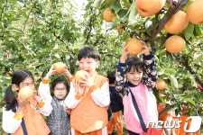 중랑구, 어린이집·유치원에 배나무 분양