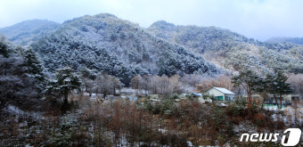 눈 내린 강원도 두메산골