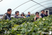 스마트팜 농장 살펴보는 국민참여단