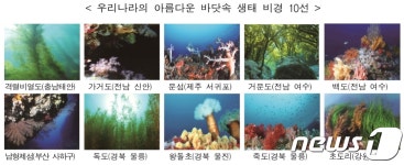 서해 격렬비열도·남해 가거도...바닷속 생태 비경 10선에 선정