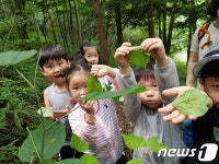 전북산림환경연구소 대아수목원 유아숲체험원 개장