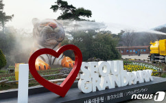 서울대공원 호랑이상 깨끗하게 목욕해요