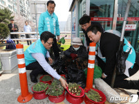 남양시장에서 두릅 구매해요