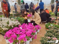[풍경] 첫날부터 ‘인산인해’…‘옥천묘목축제’ 성황