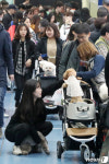 소중한 반려동물을 위해