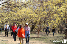 노란 꽃길 걸어요