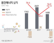 中 물량 공세에 밀린 태양광…웅진에너지 결국 상폐 위기