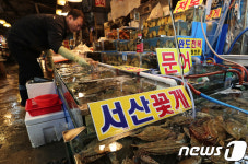 올해 인천해역 봄 꽃게 어획량 전년 比 10~40% 증가 전망
