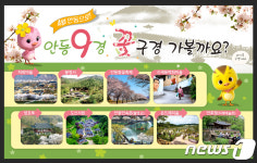 봄꽃 따라 떠나는 안동여행…관광지 9곳 선정