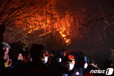 포항시 남구 대송면 운제산 산불...마을 주민 20여 가구 대피령(종합)