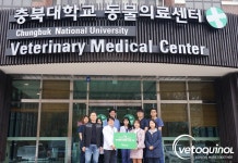 베토퀴놀코리아㈜, 충북대 수의대 유기동물보호활동에 의약품 지원