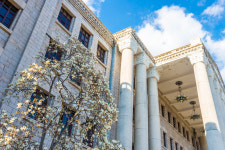 봄이 되면 걷고 싶어지는 멋진 대학교 5곳 