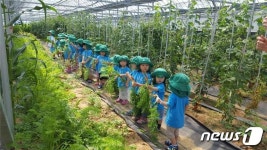 가마솥에 밥 짓고 모종 심고…서울시 어린이·청소년 힐링체험농장