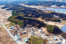 하늘에서 본 산불현장