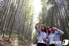 내달 1~6일 담양 별빛여행 참가자 30명 모집