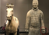 美, 진시황 병마용 손가락 도둑 무죄…중국 부글부글